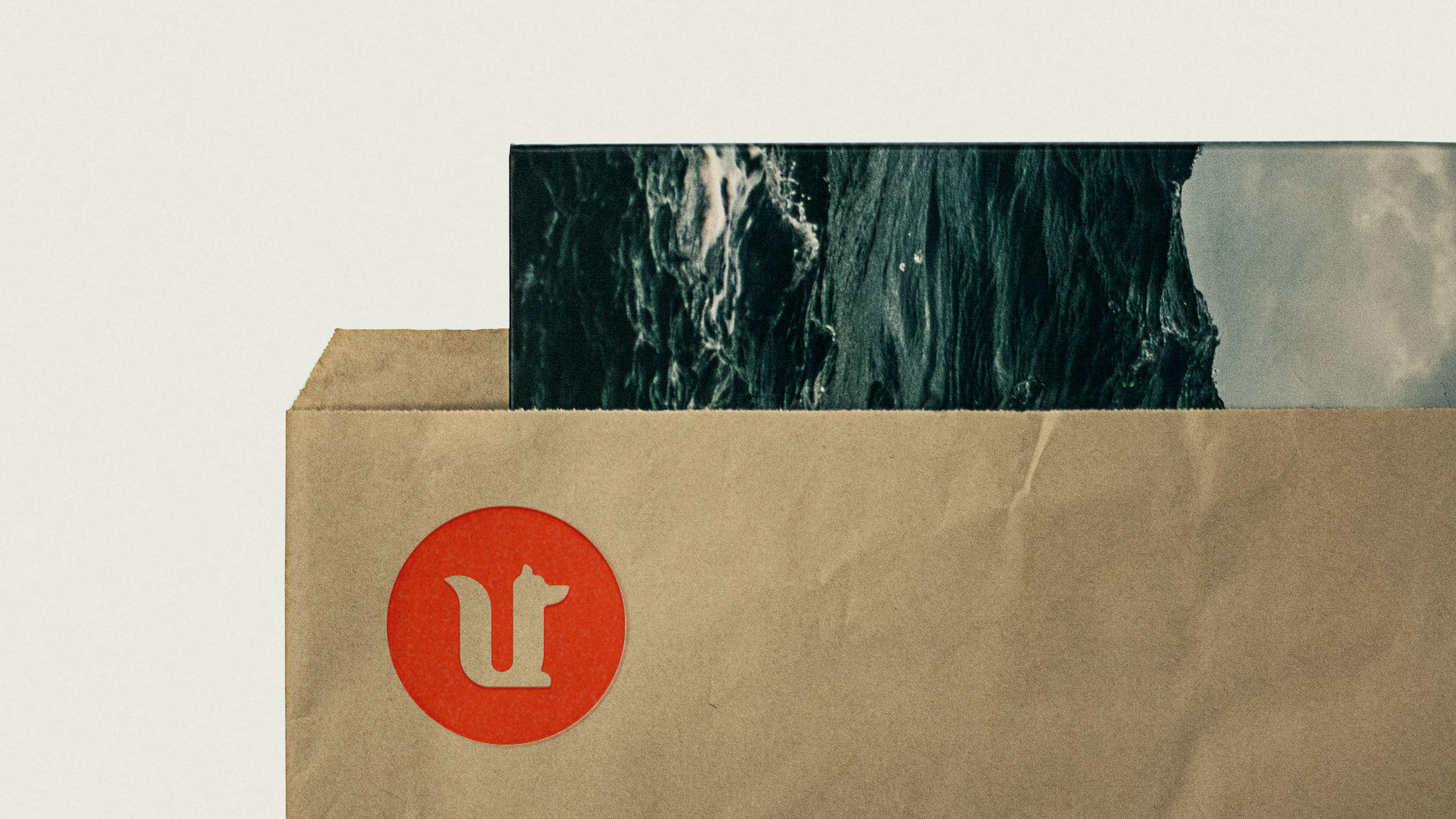 Underdog Bag